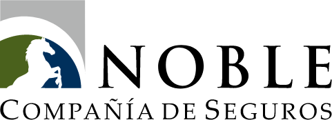 CAMPUS VIRTUAL NOBLE SEGUROS
